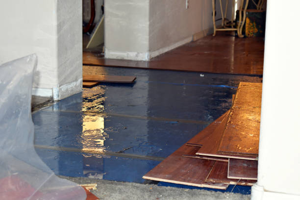 Professional Water Damage Restoration technician working in New London, IA